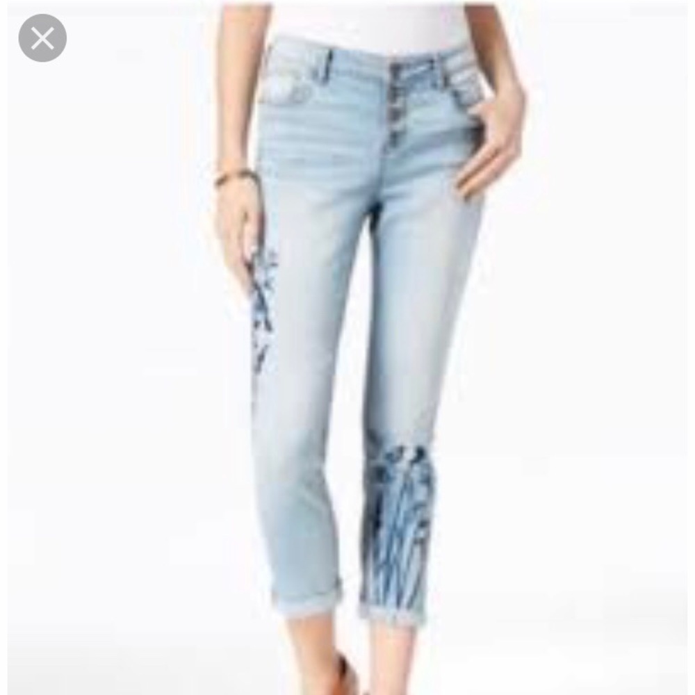 Embroidered Skinny Jeans